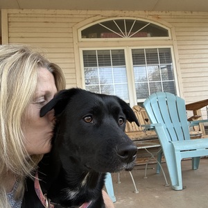 Fundraising Page: Rhonda Cole